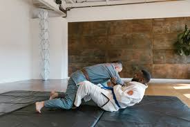 Image result for A BRITISH JUJITSU RYU in Lancing