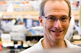 Ralph Isberg, who was elected this year to the prestigious National Academy of Sciences, has found that pathogenic bacteria enter and inhabit cells in many ... - fe2-1