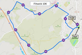 Image result for Ampthill and Flitwick Flyers