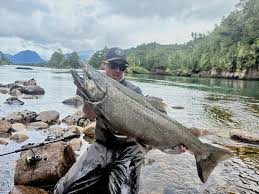 Image result for Oncorhynchus tshawytscha
