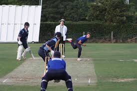 Image result for Tynedale Cricket Club