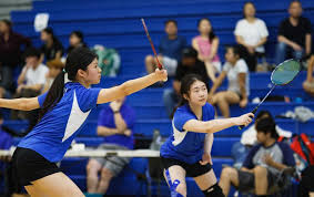 Image result for Hampshire Junior County Badminton Club