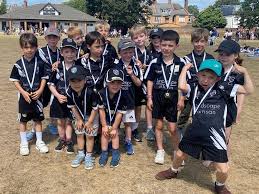 Image result for Hampton Hill Cricket Club