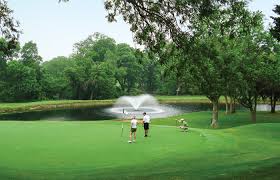 Image result for Thorn Park L T C