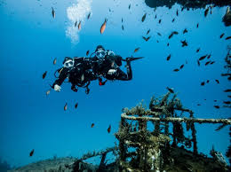 Image result for Scuba Fun