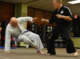 Image result for Apollo Martial Arts Academy