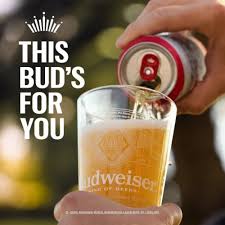 Image result for budweiser