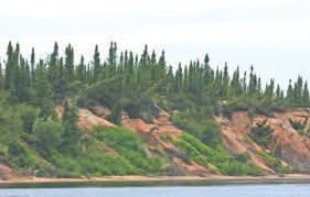 Image result for Badgercote Badminton Club