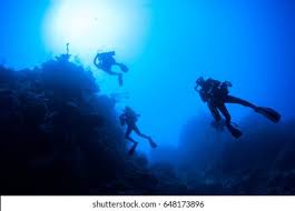 Image result for Three Seas Diving