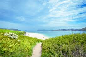 Image result for Padstow Sac