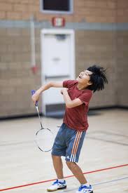 Image result for Gb Landscapes Badminton Club