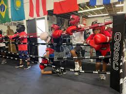 Image result for Phoenix Kick Boxing Club