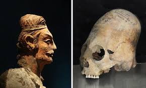 Image result for elongated skulls