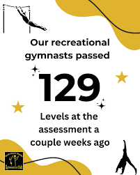 Image result for North Devon Display Gymnastics Club