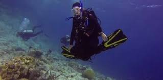 Image result for Looe Diving Club