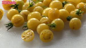 Afbeeldingsresultaat voor broad ripple yellow currant tomato