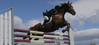 Image result for The Riding Centre