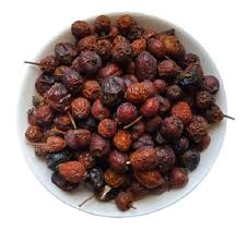 Attēlu rezultāti vaicājumam “Rosa majalis fruit”