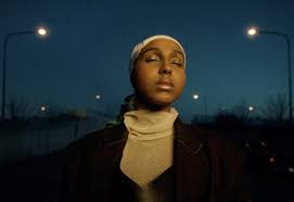 Attēlu rezultāti vaicājumam “Diderma effusum young”