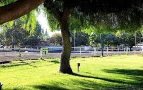 Image result for Peebles & District Riding Club