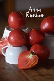 Afbeeldingsresultaat voor anna russian tomato