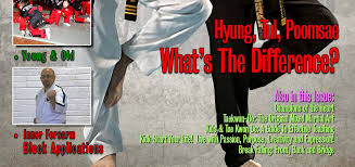 Image result for Bytomic Tae Kwon Do Windsor