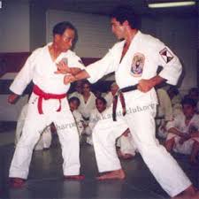 Image result for COURT FIELDS karate Academy