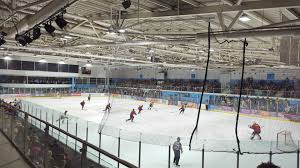 Image result for Guildford Ice Dance Club
