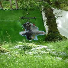 Image result for Derwynd Field Archery Club