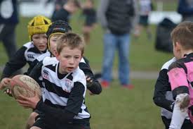 Image result for Dumfries Rugby Football Club
