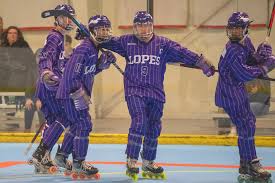 Image result for Adur Skater Hockey Club