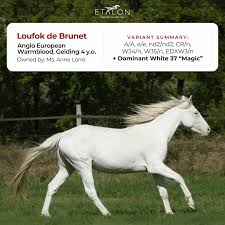 Image result for Henlow Anglo-Usa