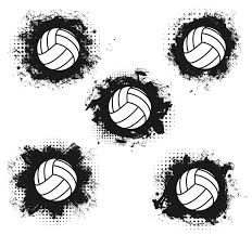 Image result for Icons Netball Club