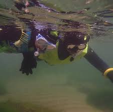 Image result for Wyndley NSC Snorkelling Club