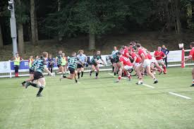 Image result for Lymm Rugby Union Football Club