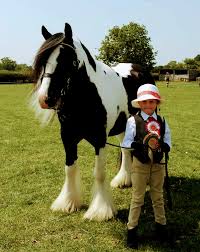Image result for Huntingdon and District Riding Club