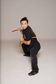 Image result for BARNET and WHETSTONE CHANGQUAN FLYING DRAGON