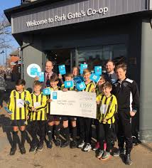 Image result for Warsash Wasps Sports & Football Club
