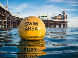 Image result for Brighton Swimming Club