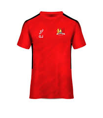 Image result for Tredegar Athletic Football Club