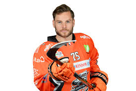 Image result for Sheffield Steelers