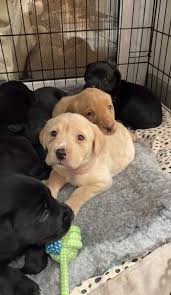 Image result for Farnley Tyas  BC