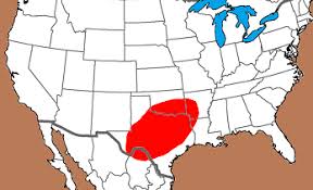 Image result for SEM micrographs of Novaculite Arkansas