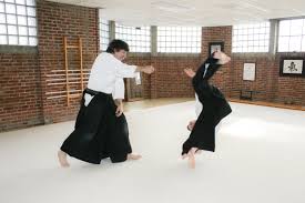 Image result for Kyu Shin Kan, Leicester Aikido