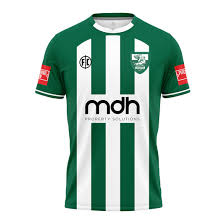 Image result for Leatherhead Football Club