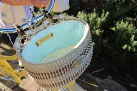 Image result for bicycle basket