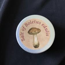 Attēlu rezultāti vaicājumam “Boletus edulis”