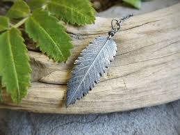 Attēlu rezultāti vaicājumam “Sorbus aucuparia leaf”