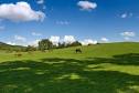 PA Horse Farms for Sale : Bucks County | Lehigh Valley | Berks ...