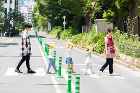 Image result for いたわりゾーン